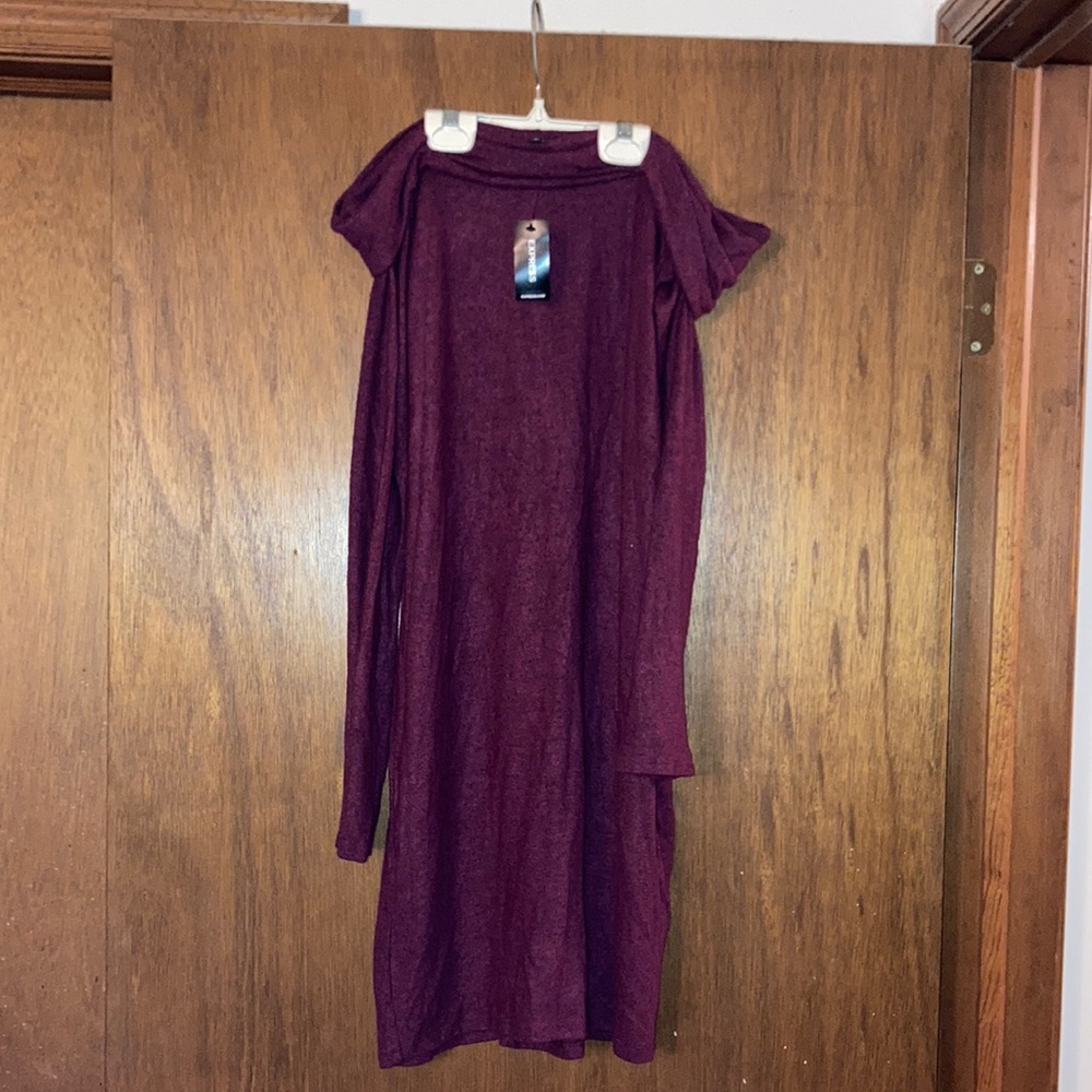 Off the shoulder long sleeve dress. express brand. NWT